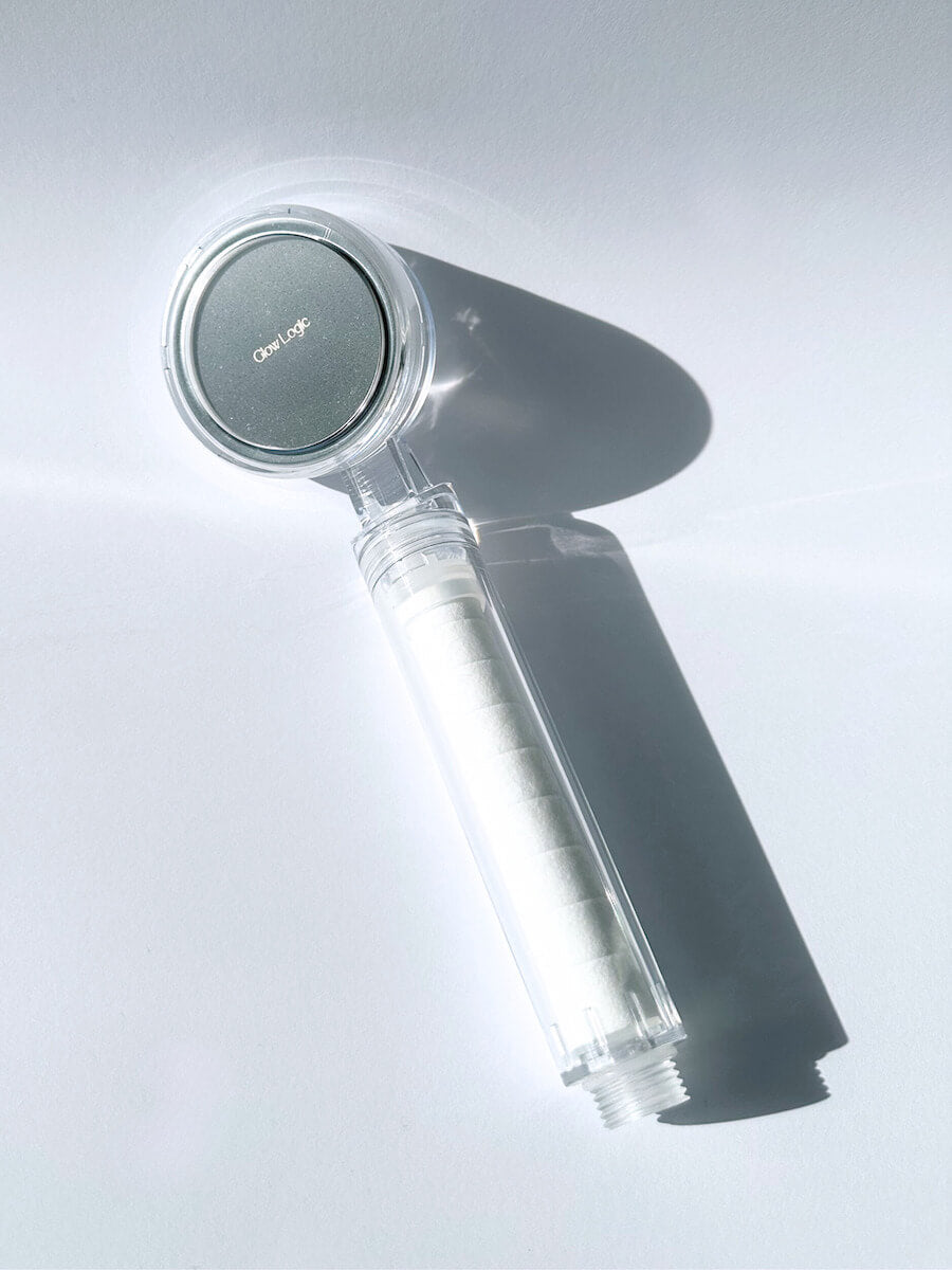 Hand-held Shower Filter