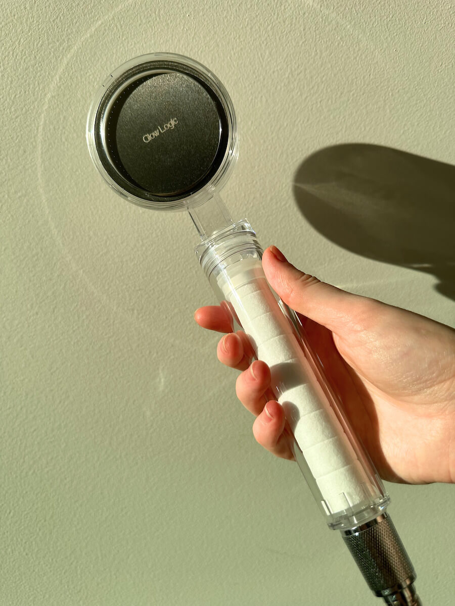 Hand-held Shower Filter